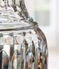 Regal Crystal Lamp