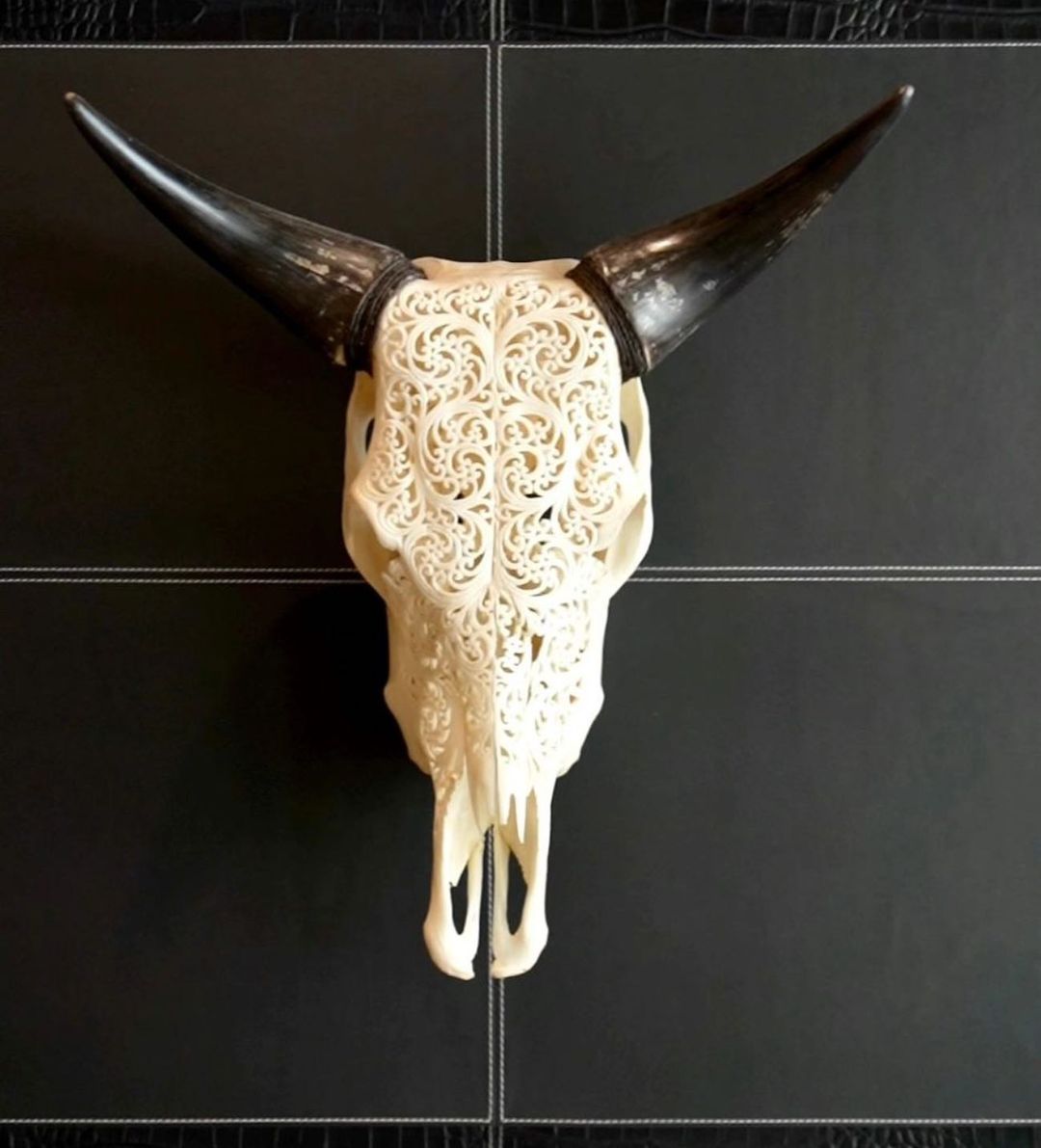 Bull Skull with Leather frame