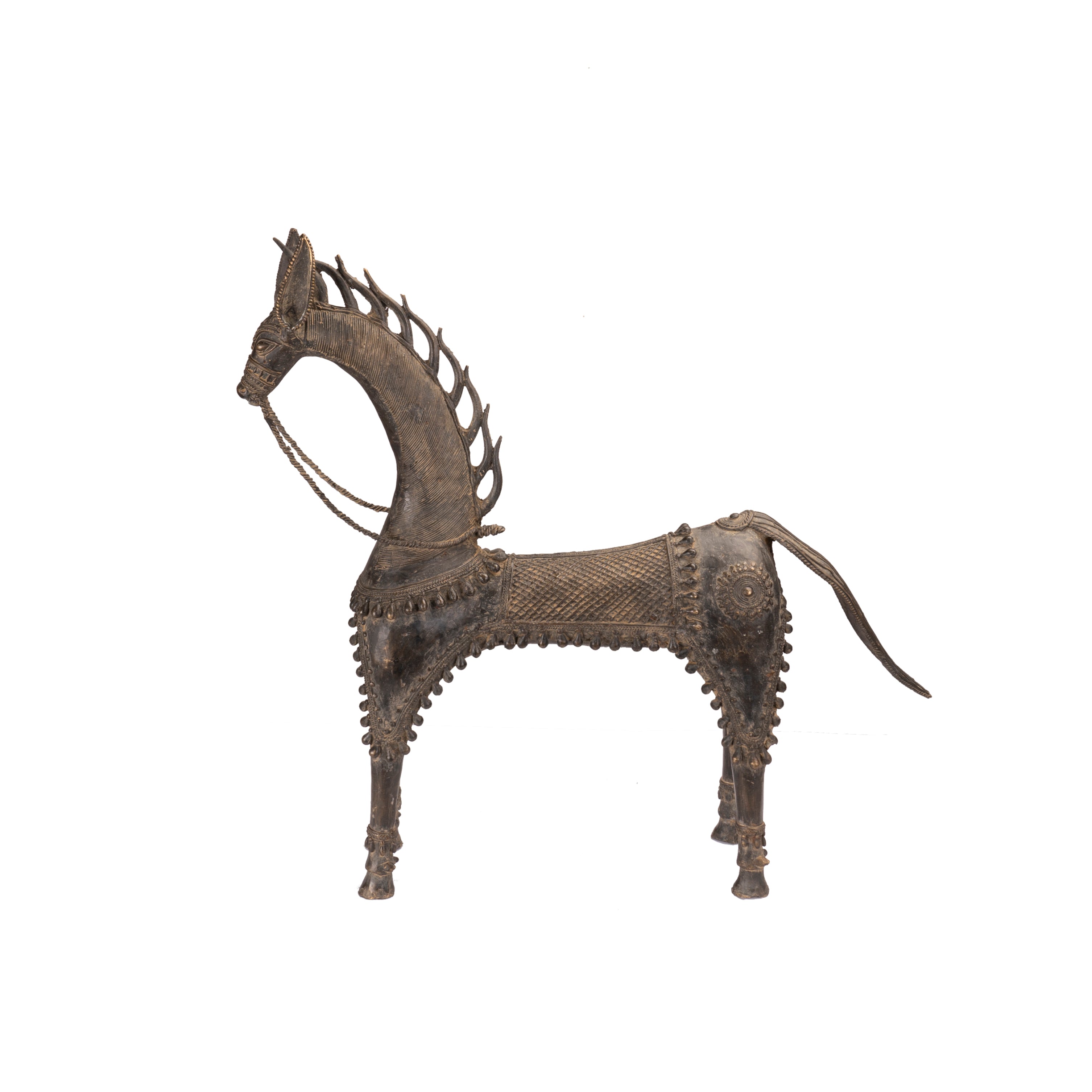 Chetak horse