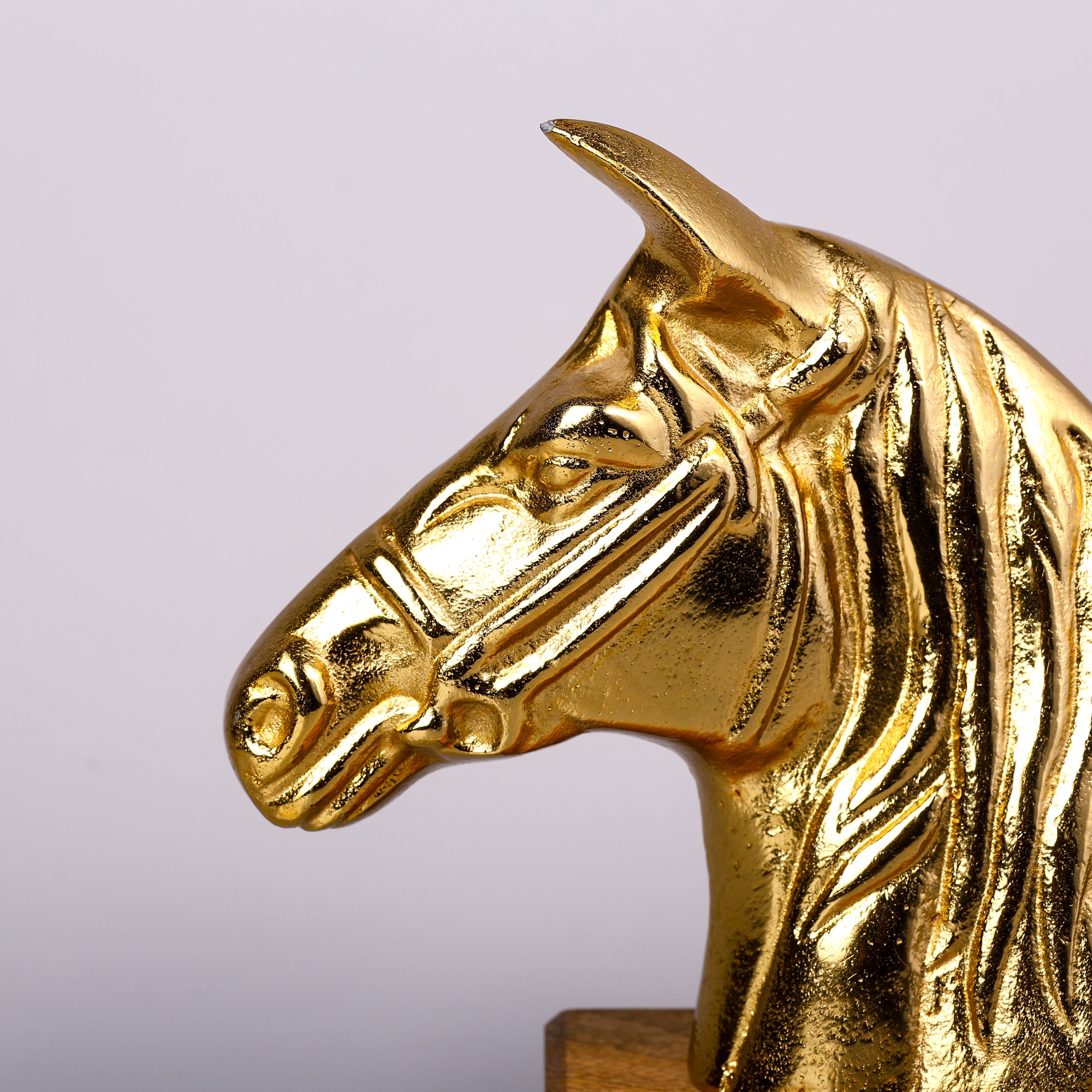 monarch horse
