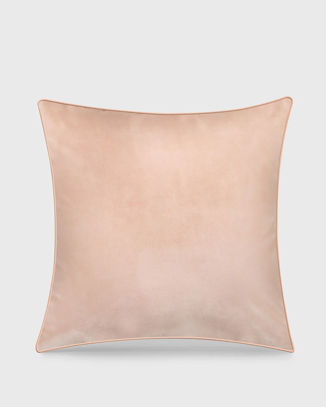 Pankhuri Multi-colour Cushion