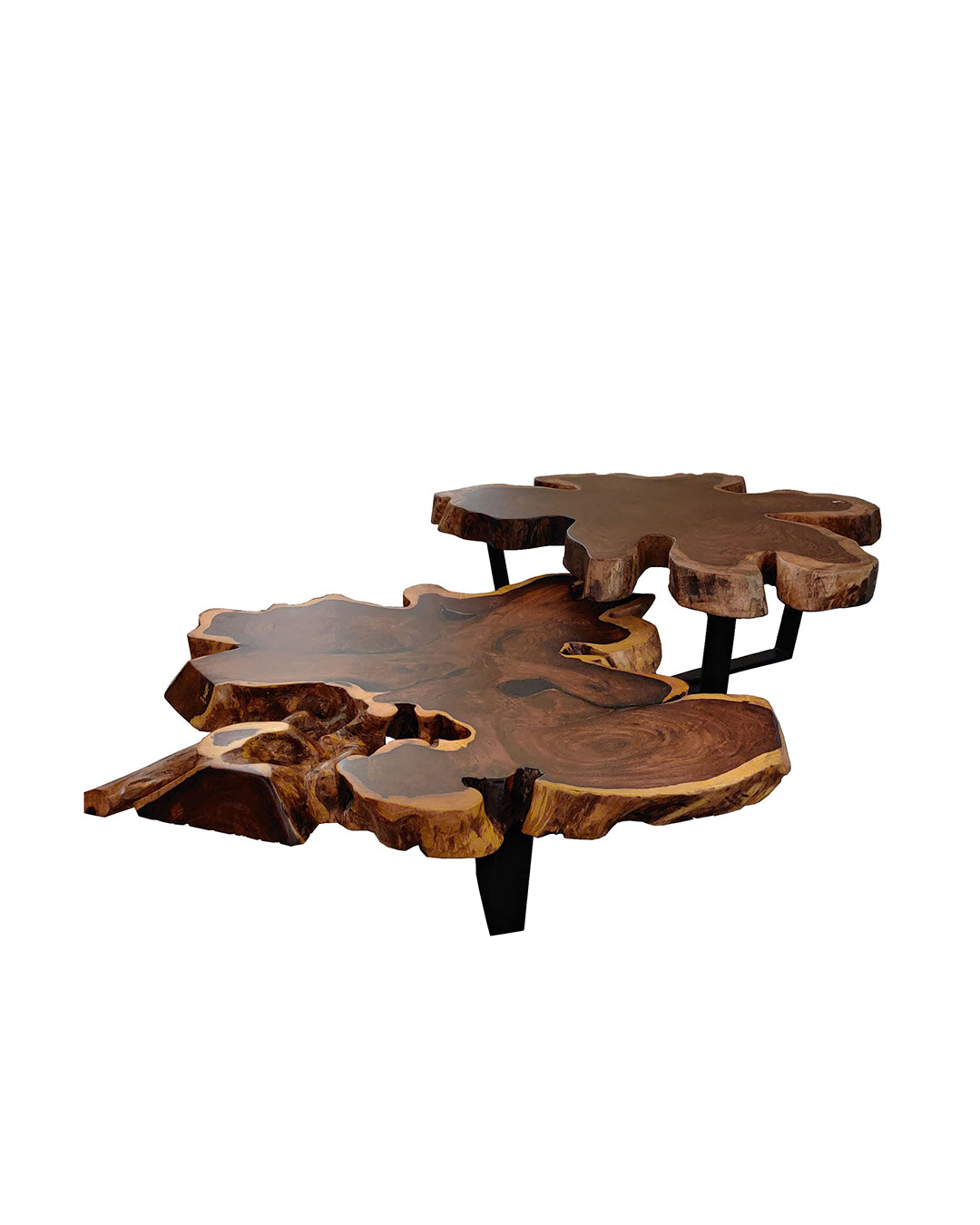 Forest Twin Live-edge coffee table
