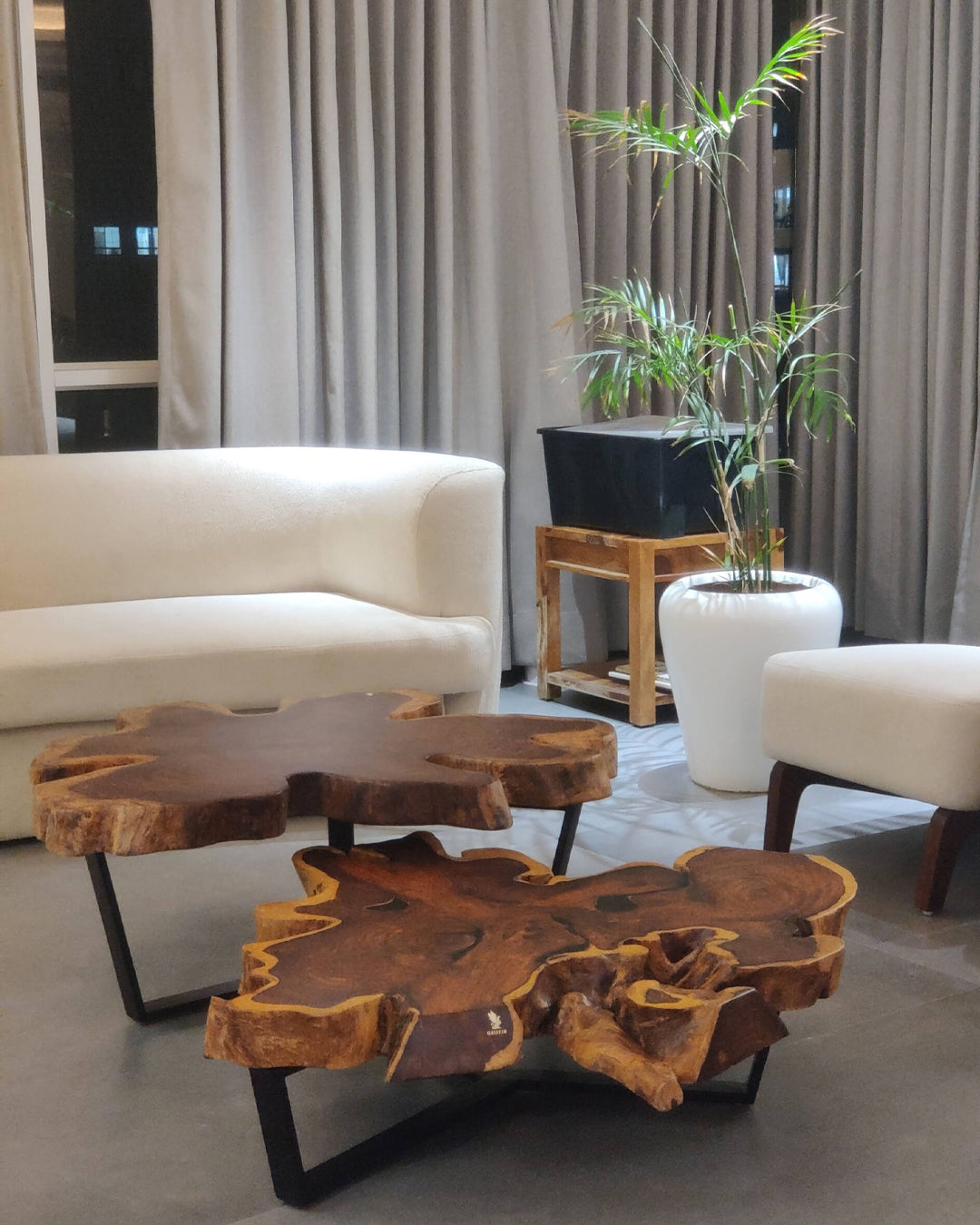 Forest Twin Live-edge coffee table