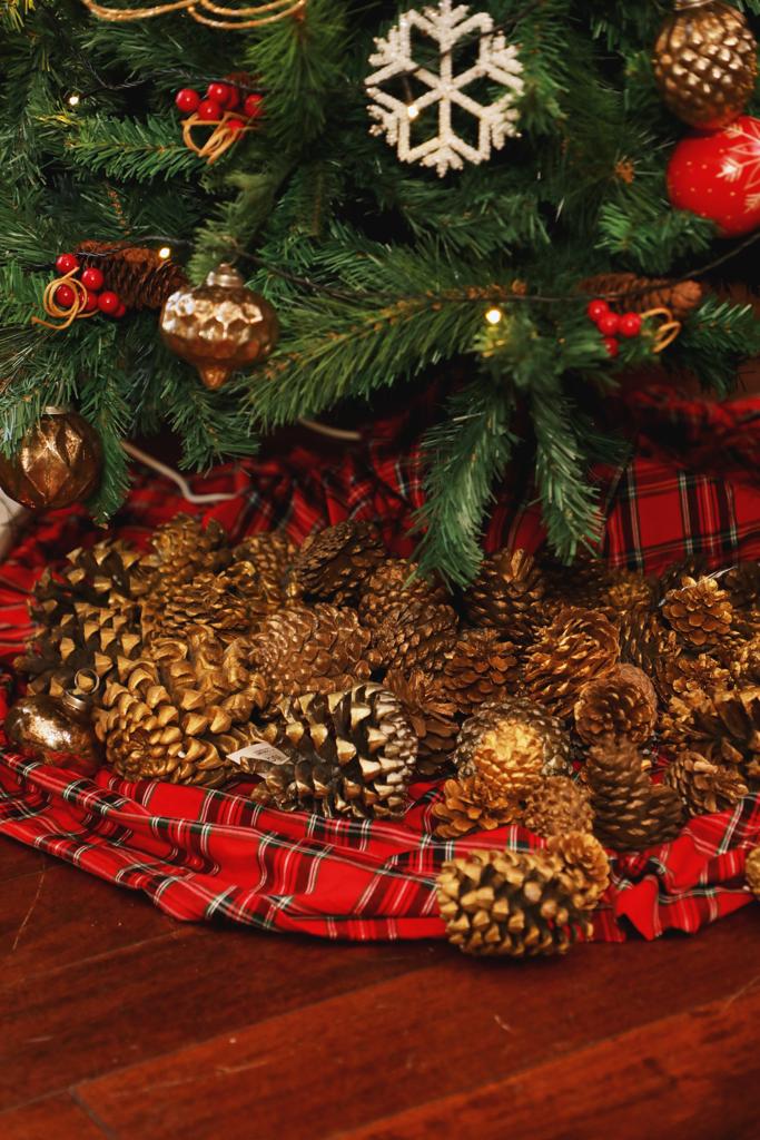Casa amber Pinecones