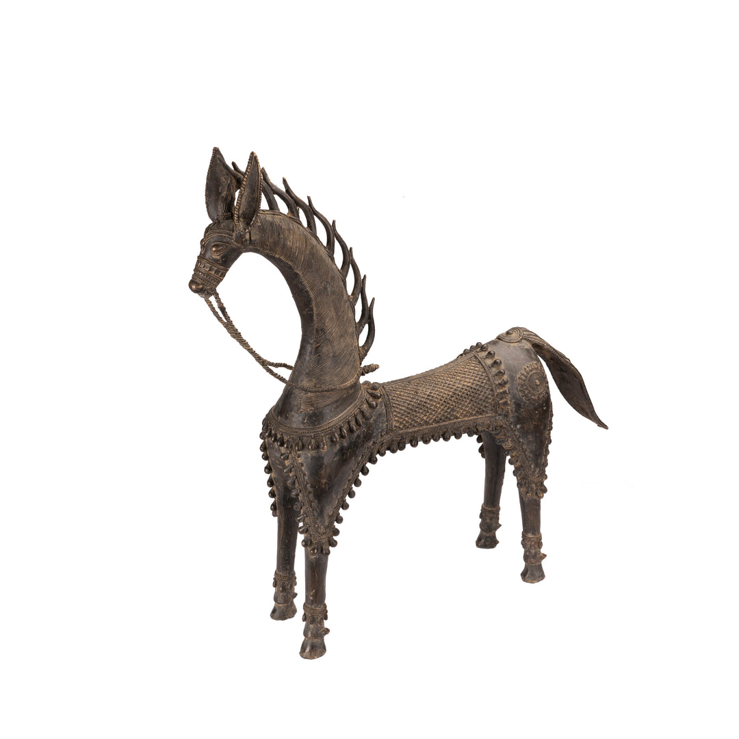 Chetak horse